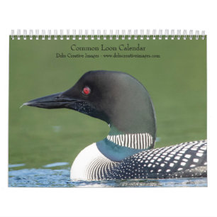 2027 Common Loons   Adirondack Lake Photography Calendar