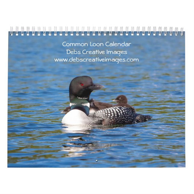 2027 Common Loons | Adirondack Lakes Calendar (Cover)