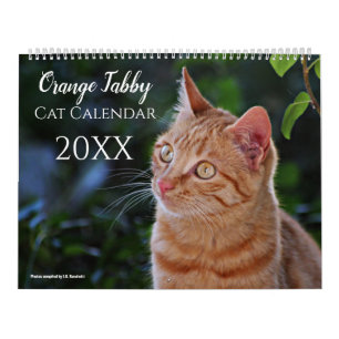 2027 Cute Orange Tabby Cats Kittens  Calendar