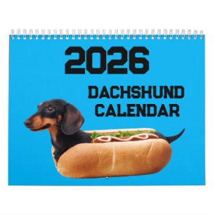 2027 Dachshund Dog Calendar