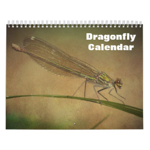 2027 Dragonfly Calendar