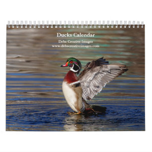 2027 Ducks of New York Waterfowl Photography Calendar