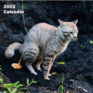 2027 Funny Cats Pooping Calendar Personalized
