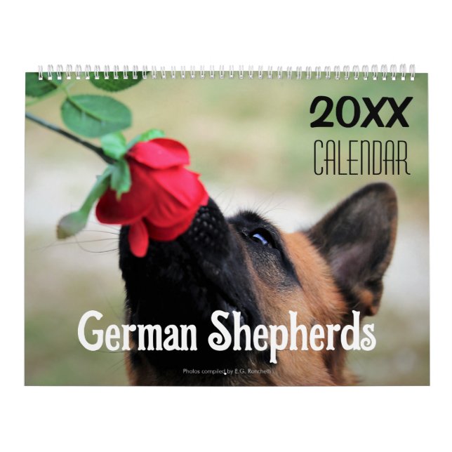 2027 German Shepherd Dog Wall Calendar Animal (Cover)