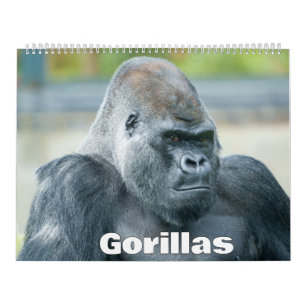 2027 Gorilla Calendar
