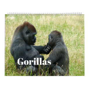 2027 Gorilla Calendar