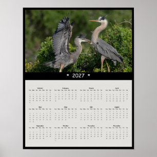 2027 Great Blue Heron Wall Calendar Silent Stalker Poster