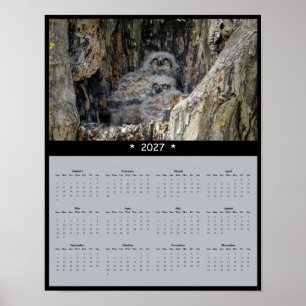 2027 Great Horned Owl Wall Calendar: King of Night Poster