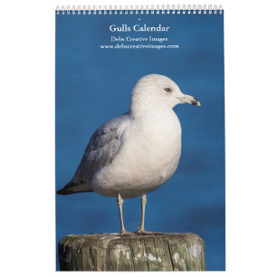2027 Hudson River Gulls   Wildlife Photography Calendar