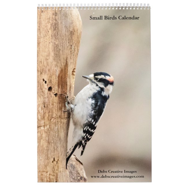 2027 Hudson Valley Songbirds | Wildlife Photograph Calendar (Cover)