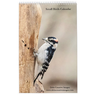 2027 Hudson Valley Songbirds Wildlife Photograph Calendar