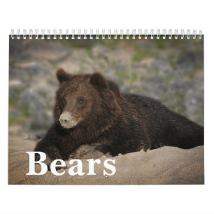 2027 Iconic Grizzly Bear Photo Calendar