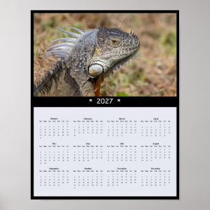 2027 Iguana Wall Calendar - Tropical Reptiles Poster