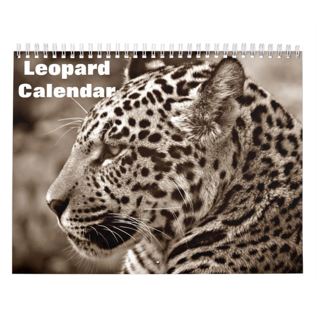 2027 Leopard Calendar (Cover)