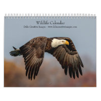 2027 North American Wildlife | Nature Photography