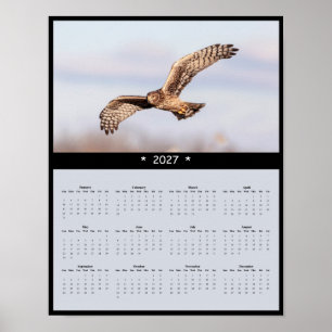 2027 Northern Harrier Wall Calendar - Marsh Glider Poster