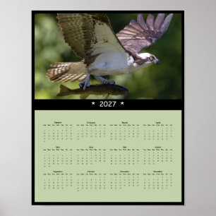 2027 Osprey Wall Calendar - Soaring Wildlife Poster