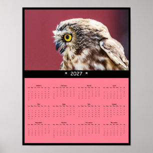 2027 Owl Wall Calendar - Birds of the Night Poster