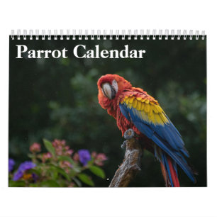2027 Parrot Calendar