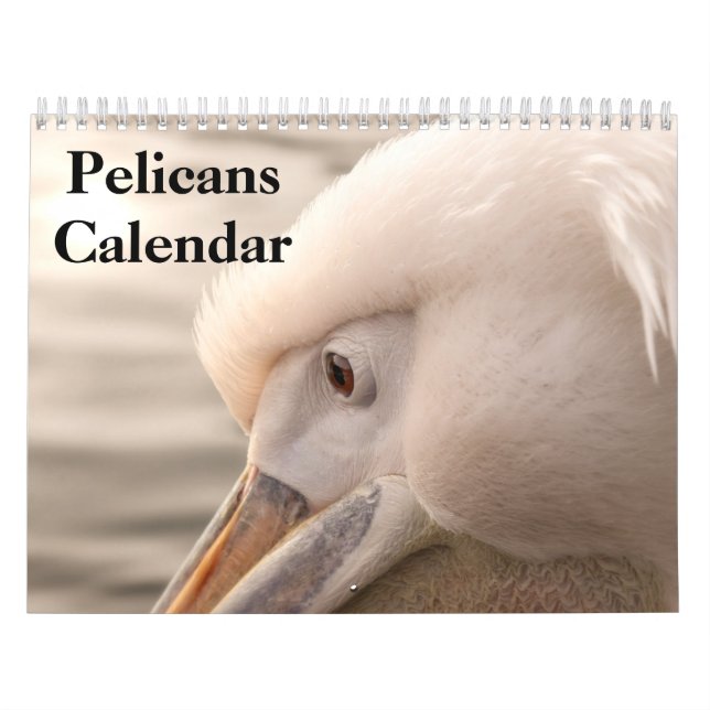 2027 Pelicans Bird Calendar (Cover)