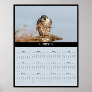 2027 Peregrine Falcon Wall Calendar - Speed Master Poster