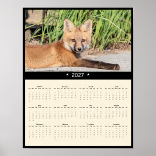 2027 Red Fox Kit Wall Calendar - Woodland Wonder Poster
