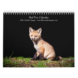 2027 Red Foxes   Woodland Wildlife Photography Calendar