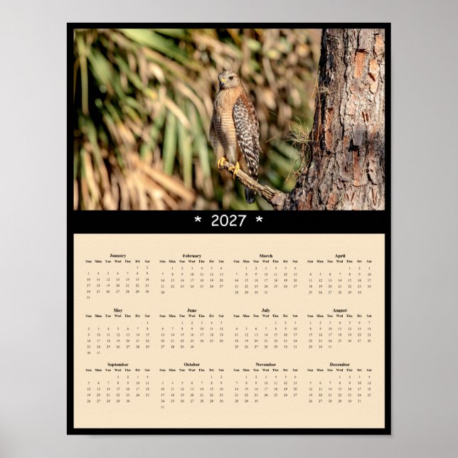 2027 Red-shouldered Hawk Wall Calendar - Forest Poster (Front)