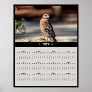 2027 Red-shouldered Hawk Wall Calendar - Woodland Poster