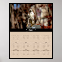 2027 Red-tailed Hawk Wall Calendar Perched Raptor