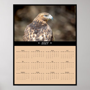 2027 Red-tailed Hawk Wall Calendar - Wild Horizons Poster