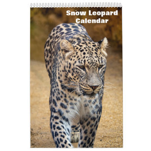 2027 Snow leopard Calendar