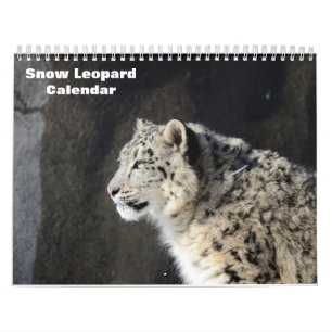 2027 Snow leopard Calendar