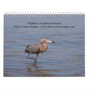 2027 Southwest Florida Wildlife   Birds & Nature Calendar