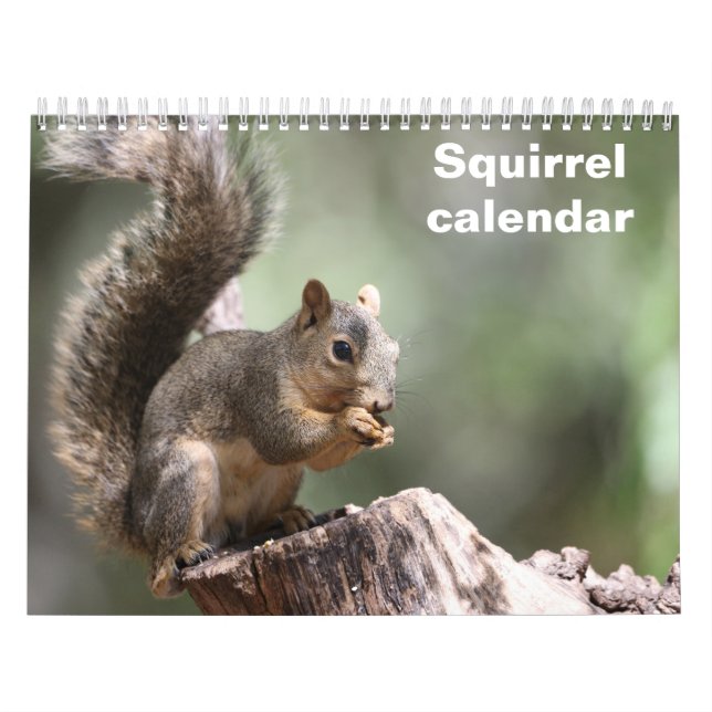 2027 Squirrel Calendar (Cover)