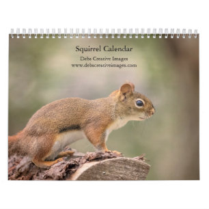 2027 Squirrels   Woodland Wildlife Photography Calendar