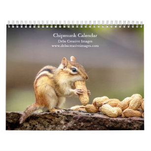 2027 Ticonderoga Chipmunks   Adirondack Wildlife Calendar
