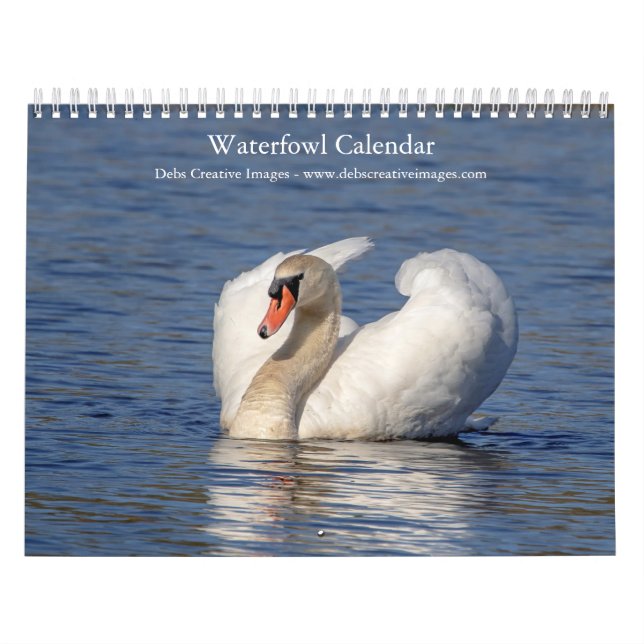 2027 Waterfowl & Wetland Birds | Nature Photo Calendar (Cover)
