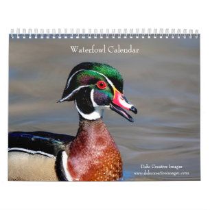 2027 Waterfowl & Wetland Birds New York Wildlife Calendar