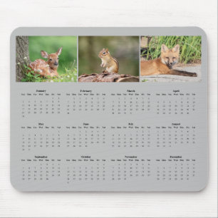 2027 Wildlife Mammals Desk Calendar Mouse Pad