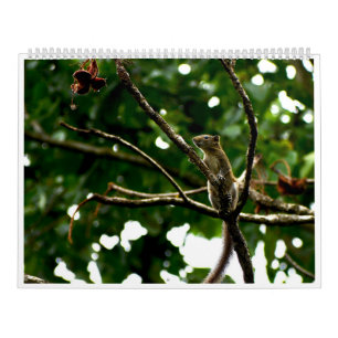 2027 Wildlife Photography Calendar