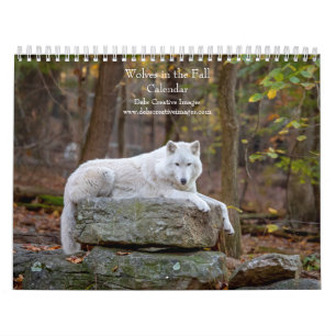 2027 Wolves in Fall   Autumn Wolf Photography Calendar