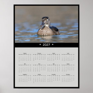 2027 Wood Duck Wall Calendar - Colourful Waterfowl Poster