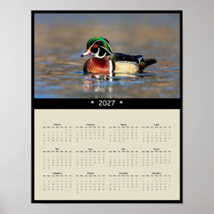 2027 Wood Duck Wall Calendar - Vibrant Plumage Poster