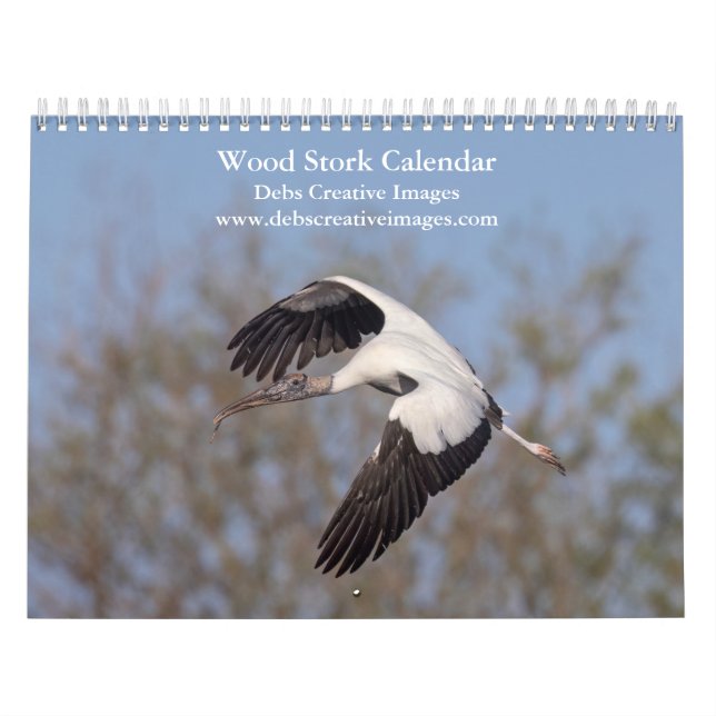 2027 Wood Storks of Florida Calendar (Cover)