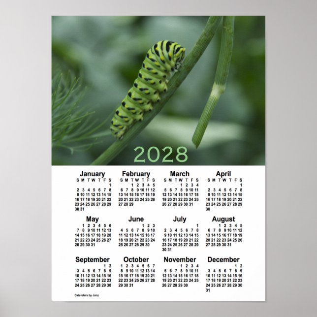 2028 Swallow Tail Caterpillar Calendar by Janz Poster (Front)