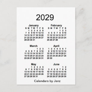 2029 White 6 Month Mini Calendar by Janz Postcard