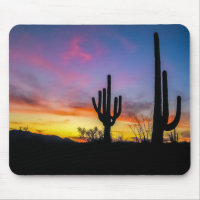 2034-2-Arizona Desert at Sunset with Cactus