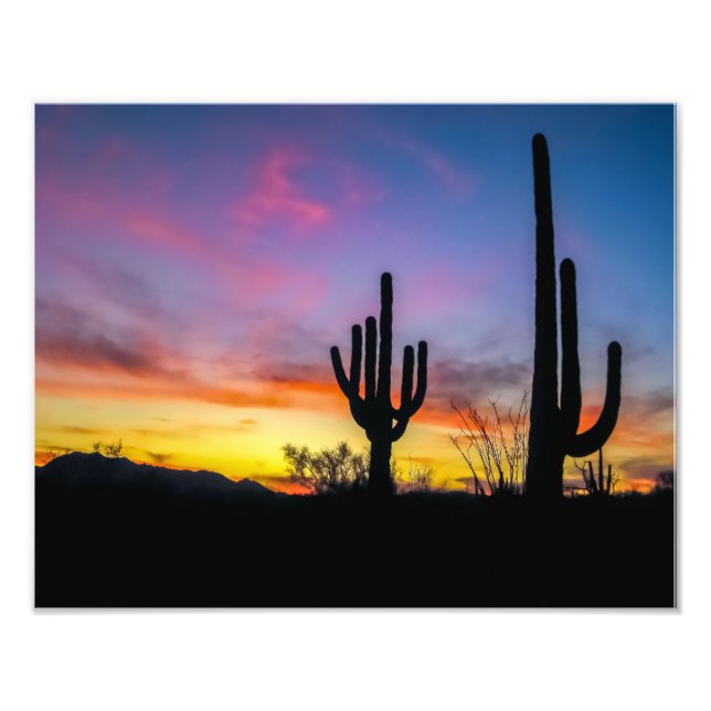 2034-2-Arizona Desert at Sunset with Cactus Photo Print (Front)