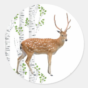 20 - 1.5 Envelope Seal Deer Doe Buck Woodland
